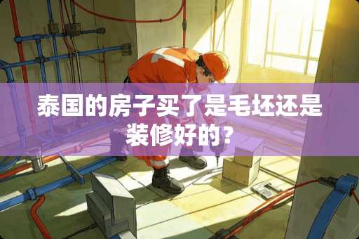 泰国的房子买了是毛坯还是装修好的？