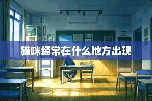 猫咪经常在什么地方出现