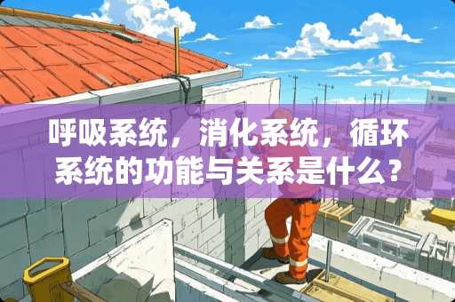 呼吸系统，消化系统，循环系统的功能与关系是什么？