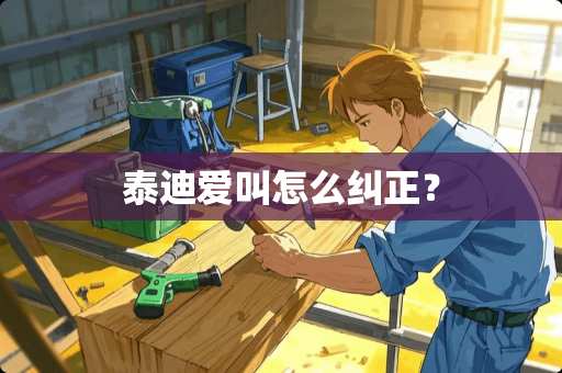 泰迪爱叫怎么纠正？