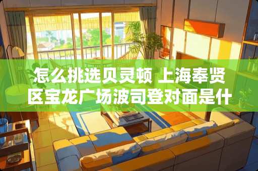 怎么挑选贝灵顿 上海奉贤区宝龙广场波司登对面是什么牌子