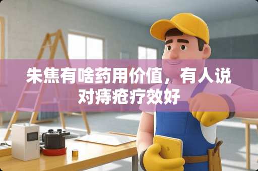 朱焦有啥药用价值，有人说对痔疮疗效好