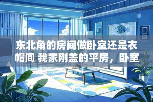 东北角的房间做卧室还是衣帽间 我家刚盖的平房，卧室的两个门正对着客厅，电视沙发应该怎么设计
