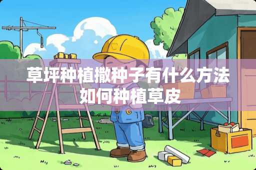 草坪种植撒种子有什么方法 如何种植草皮