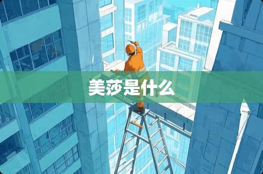 美莎是什么