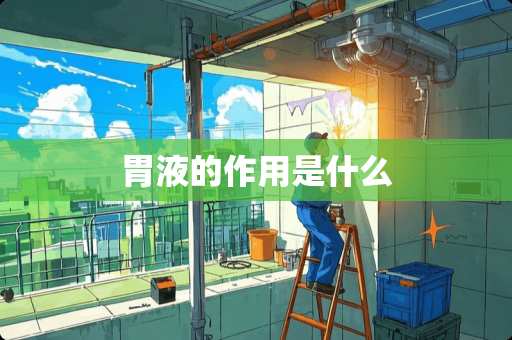 胃液的作用是什么