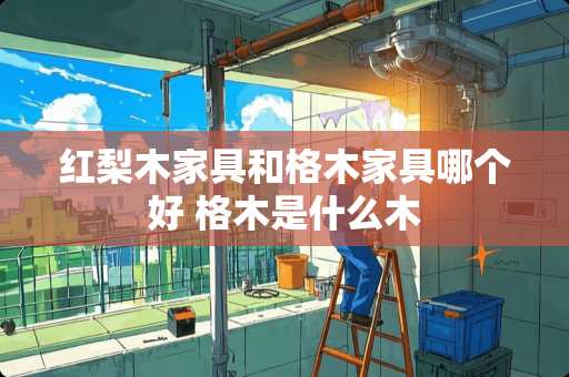 红梨木家具和格木家具哪个好 格木是什么木