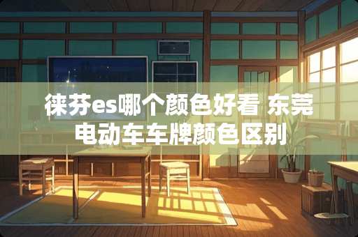 徕芬es哪个颜色好看 东莞电动车车牌颜**别