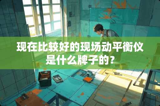 现在比较好的现场动平衡仪是什么牌子的？