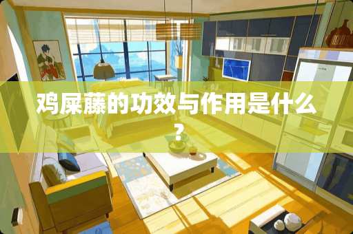 鸡屎藤的功效与作用是什么？