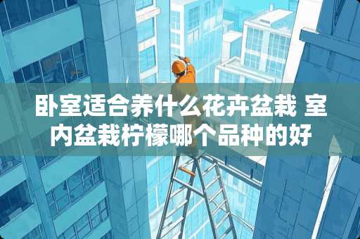 卧室适合养什么花卉盆栽 室内盆栽柠檬哪个品种的好