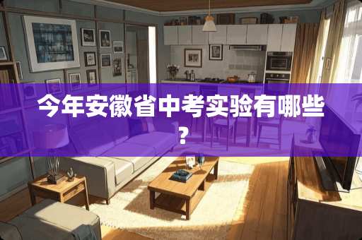 今年安徽省中考实验有哪些？