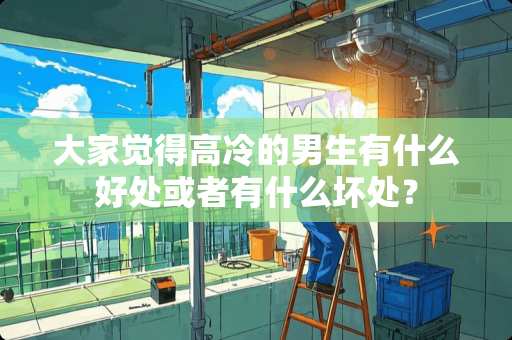 大家觉得高冷的男生有什么好处或者有什么坏处？