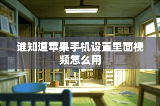 谁知道苹果手机设置里面视频怎么用