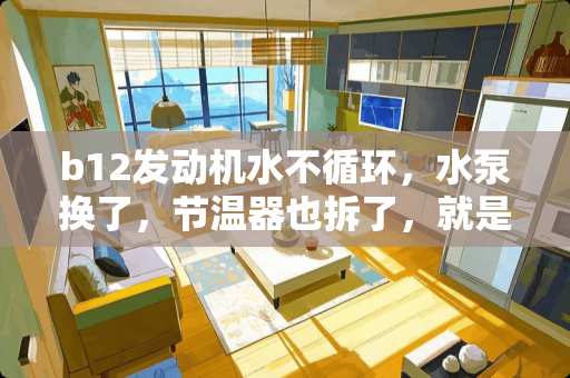 b12发动机水不循环，水泵换了，节温器也拆了，就是不循环？