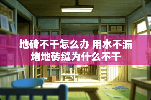 地砖不干怎么办 用水不漏堵地砖缝为什么不干