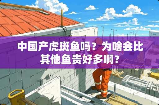 中国产虎斑鱼吗？为啥会比其他鱼贵好多啊？