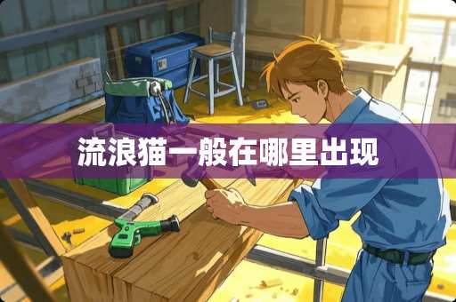 流浪猫一般在哪里出现