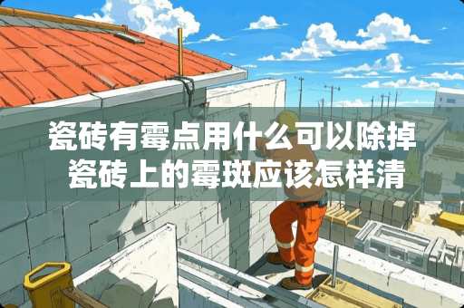 瓷砖有霉点用什么可以除掉 瓷砖上的霉斑应该怎样清除