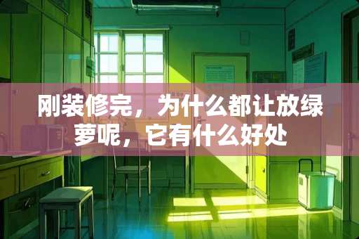 刚装修完，为什么都让放绿萝呢，它有什么好处