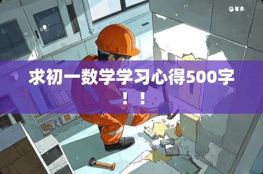 求初一数学学习心得500字！！