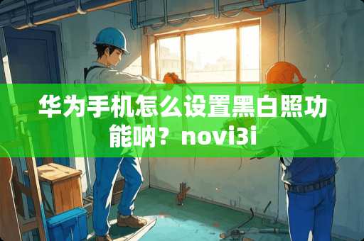 华为手机怎么设置黑白照功能呐？novi3i