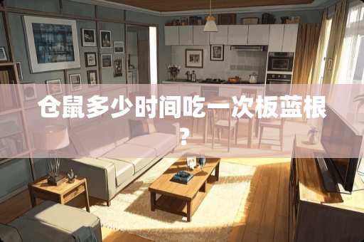 仓鼠多少时间吃一次板蓝根？