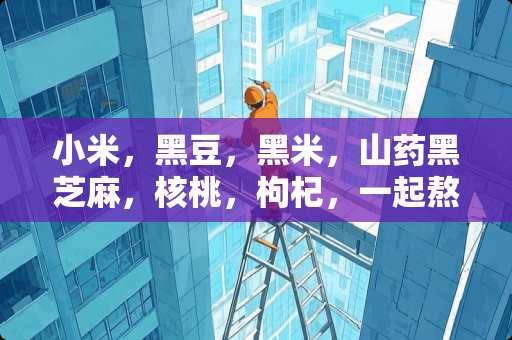 小米，黑豆，黑米，山药黑芝麻，核桃，枸杞，一起熬粥对身体有好处吗？