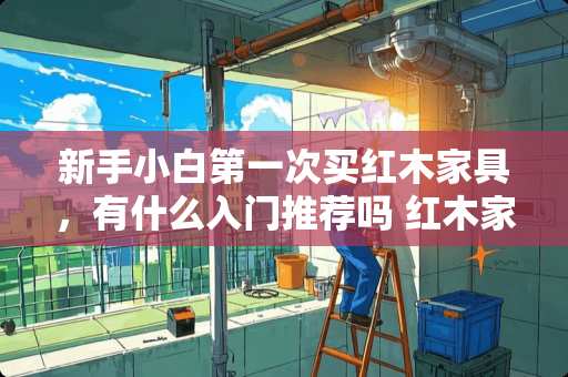 新手小白第一次买红木家具，有什么入门推荐吗 红木家具的牌子有推荐的吗