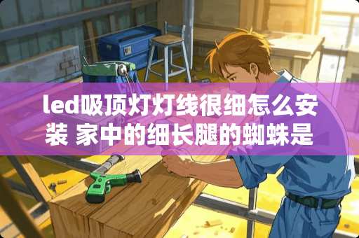 led吸顶灯灯线很细怎么安装 家中的细长腿的蜘蛛是什么蜘蛛?用不用消灭掉