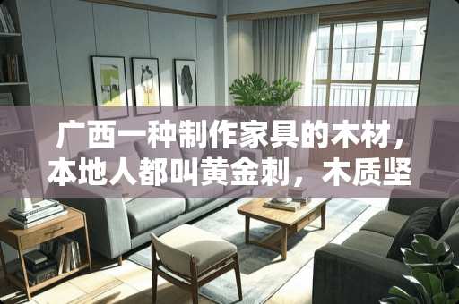 广西一种制作家具的木材，本地人都叫黄金刺，木质坚硬木心为金黄色，不知道学名叫什么呢 金丝黄檀木和香椿木哪个好