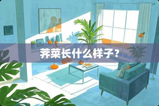 荠菜长什么样子？