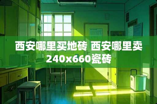 西安哪里买地砖 西安哪里卖240x660瓷砖