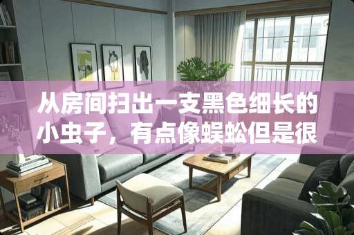 从房间扫出一支黑色细长的小虫子，有点像蜈蚣但是很小很小，顶多1厘米至2厘米是什么虫子 家中的细长腿的蜘蛛是什么蜘蛛?用不用消灭掉