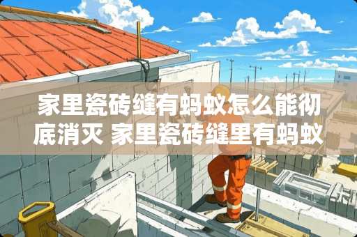 家里瓷砖缝有蚂蚁怎么能彻底消灭 家里瓷砖缝里有蚂蚁怎么办