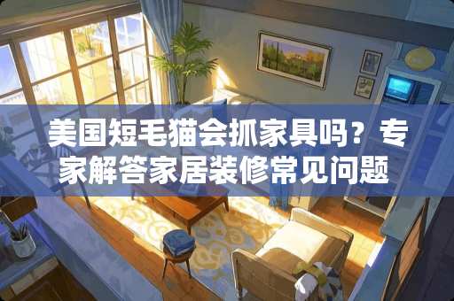 美国短毛猫会抓家具吗？专家解答家居装修常见问题 美国短毛猫会抓家具吗