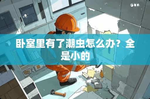 卧室里有了潮虫怎么办？全是小的