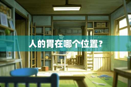 人的胃在哪个位置？