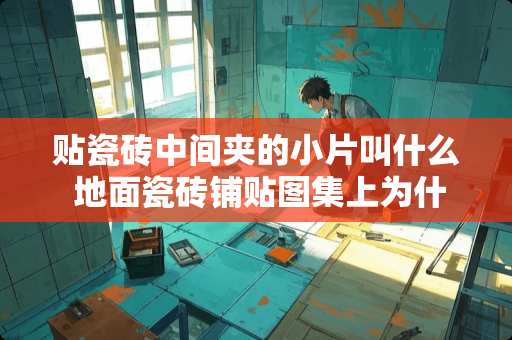 贴瓷砖中间夹的小片叫什么 地面瓷砖铺贴图集上为什么都是干混水泥砂浆直接铺贴