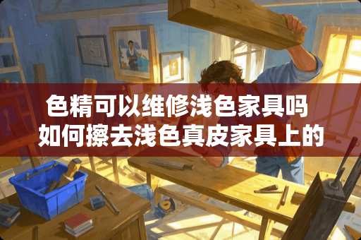 色精可以维修浅色家具吗 如何擦去浅色真皮家具上的圆珠笔迹