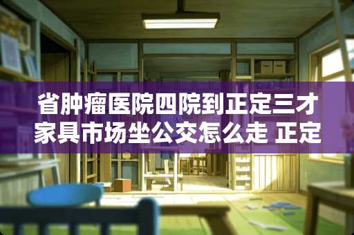 省肿瘤医院四院到正定三才家具市场坐公交怎么走 正定三才家具怎么样