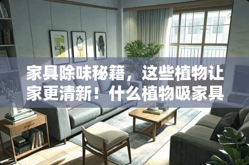 家具除味秘籍，这些植物让家更清新！什么植物吸家具的味道