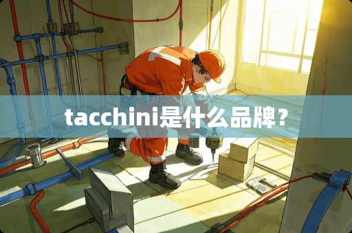tacchini是什么品牌？