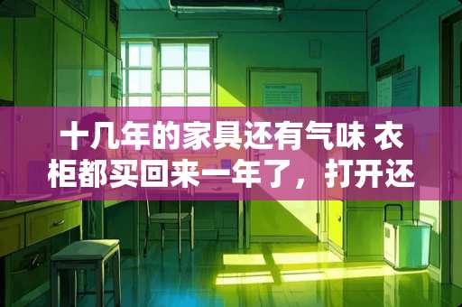 十几年的家具还有气味 衣柜都买回来一年了，打开还有味道，该怎么处理啊