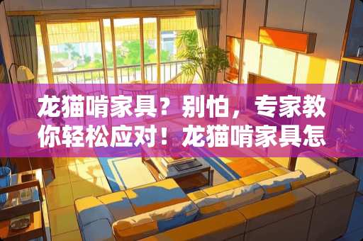 龙猫啃家具？别怕，专家教你轻松应对！龙猫啃家具怎么办