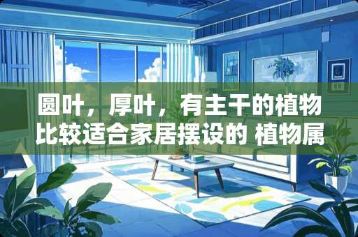 圆叶,厚叶,有主干的植物比较适合家居摆设的 植物属于什么家具类别 圆叶,厚叶,有主干的植物比较适合家居摆设的 植物属于什么家具类别