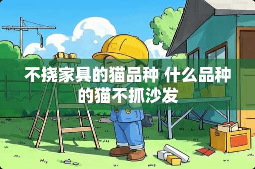 不挠家具的猫品种 什么品种的猫不抓沙发