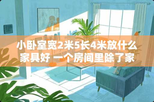 小卧室宽2米5长4米放什么家具好 一个房间里除了家具，还可以放些什么东西呢