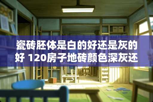 瓷砖胚体是白的好还是灰的好 120房子地砖颜色深灰还是中灰好看