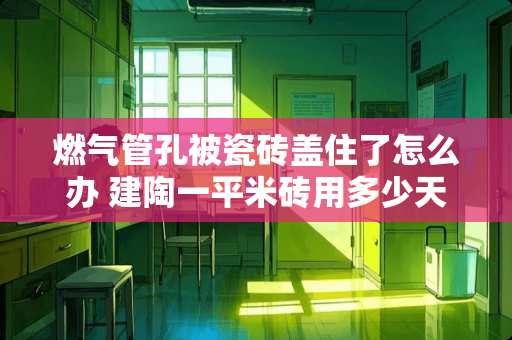燃气管孔被瓷砖盖住了怎么办 建陶一平米砖用多少天然气